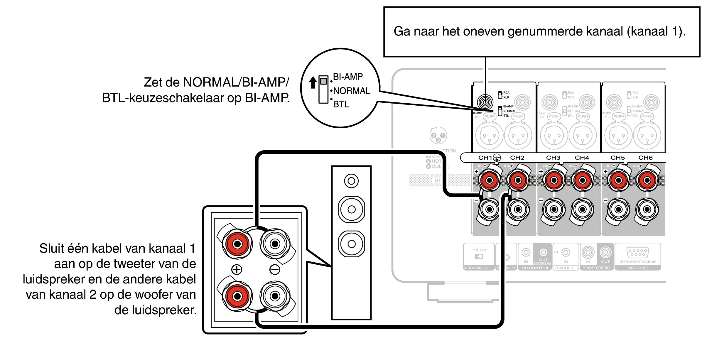 Conne SP BiAmp AMP20
